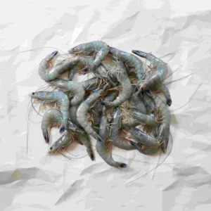 blue prawns
