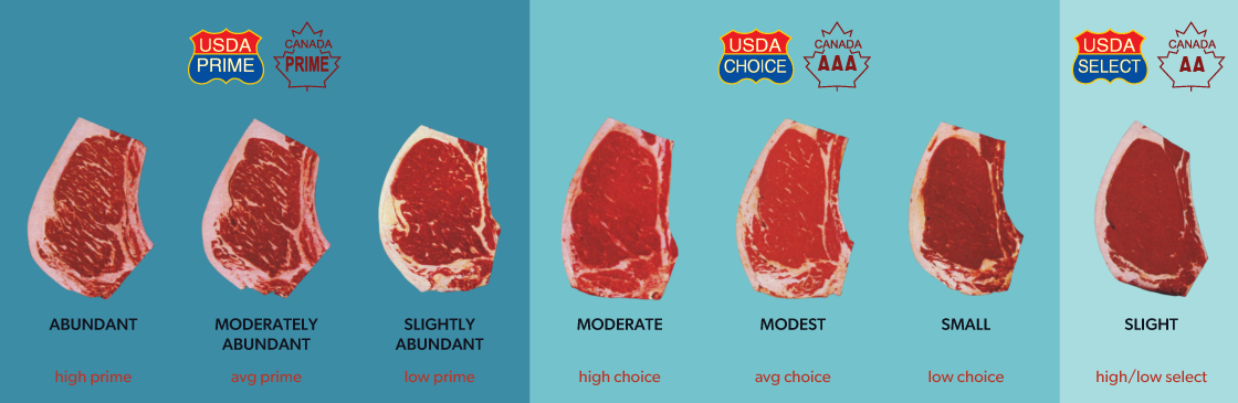 usda beef grades