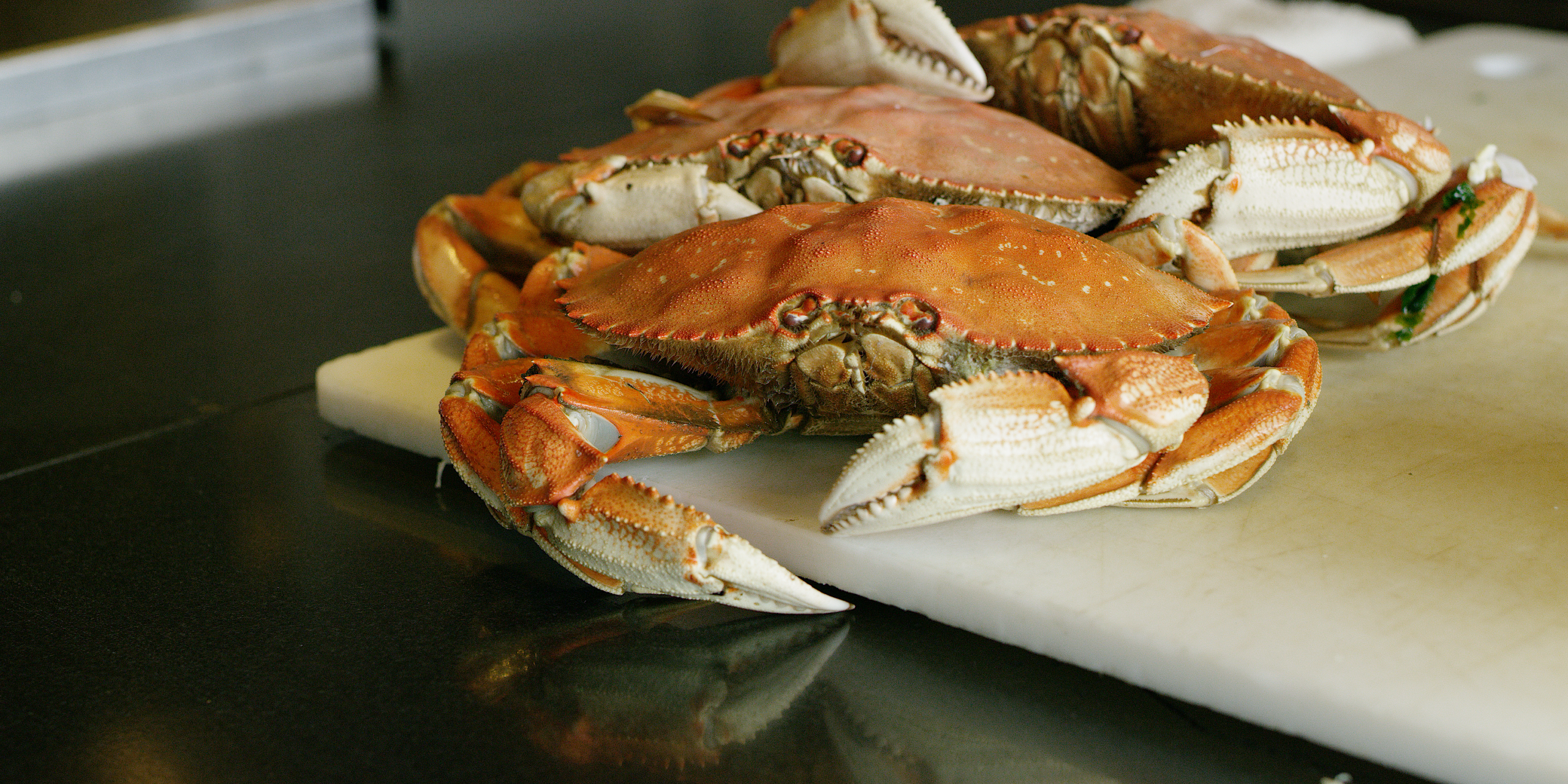 dungeness crab habitat