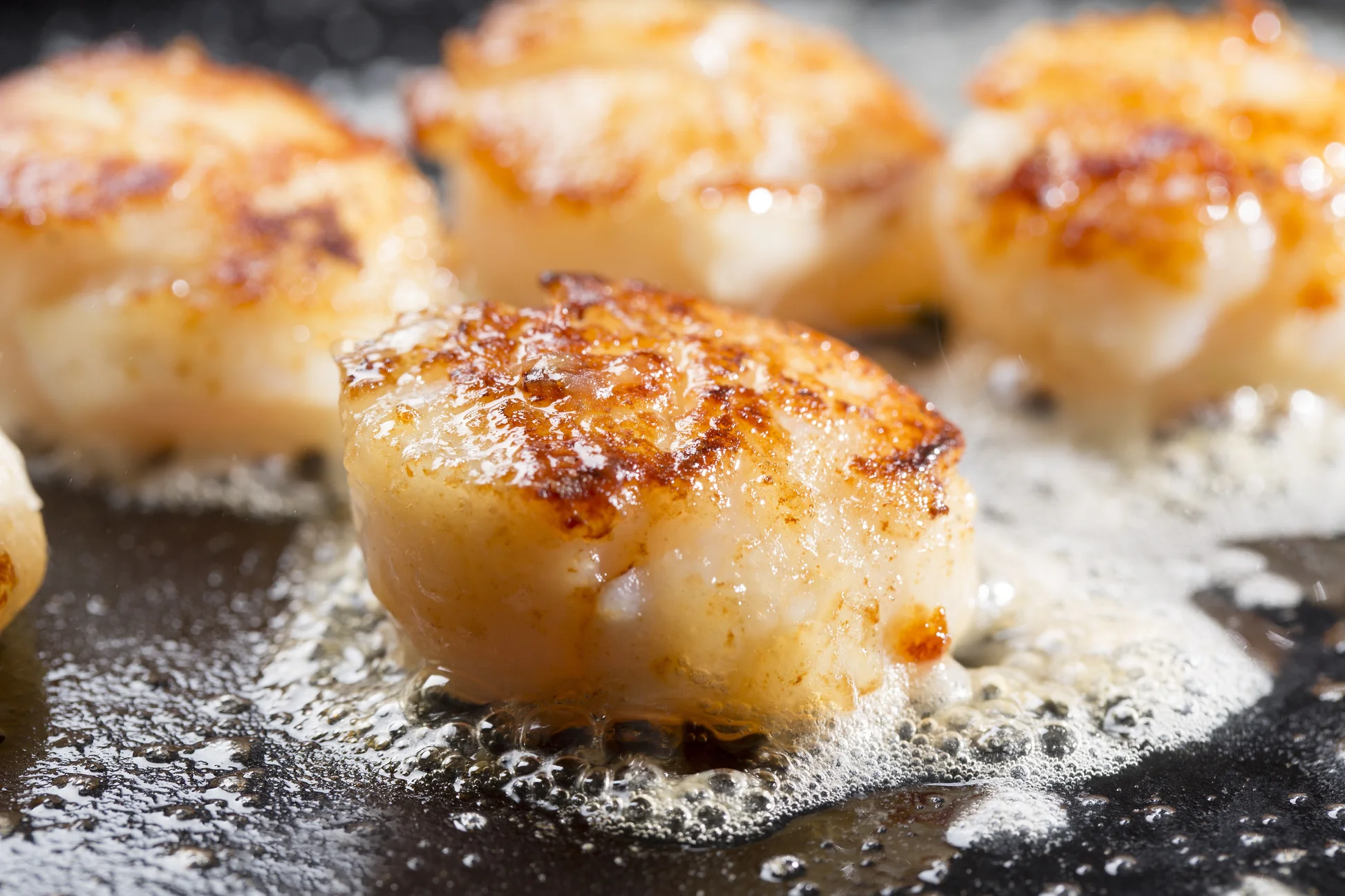 sea scallops for sale