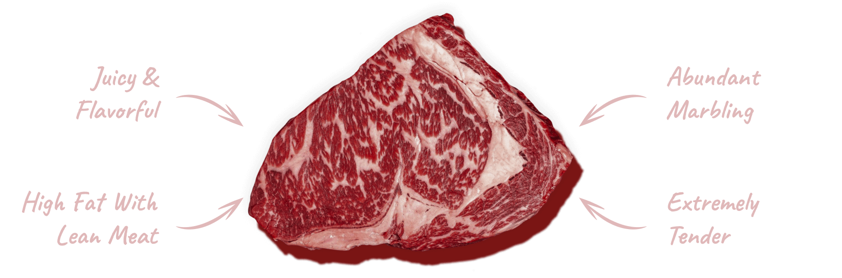 usda beef grades
