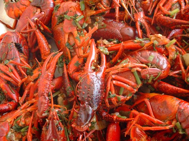 crawfish for sale