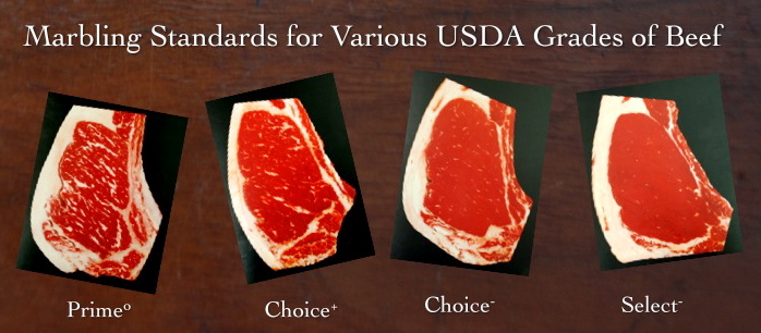 usda beef grades