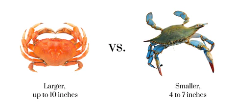 d9feffcd 986e 47c6 ad39 06799599f6fb 80ccf20d d649 49a5 9f6d f66f5911aa71 480x480