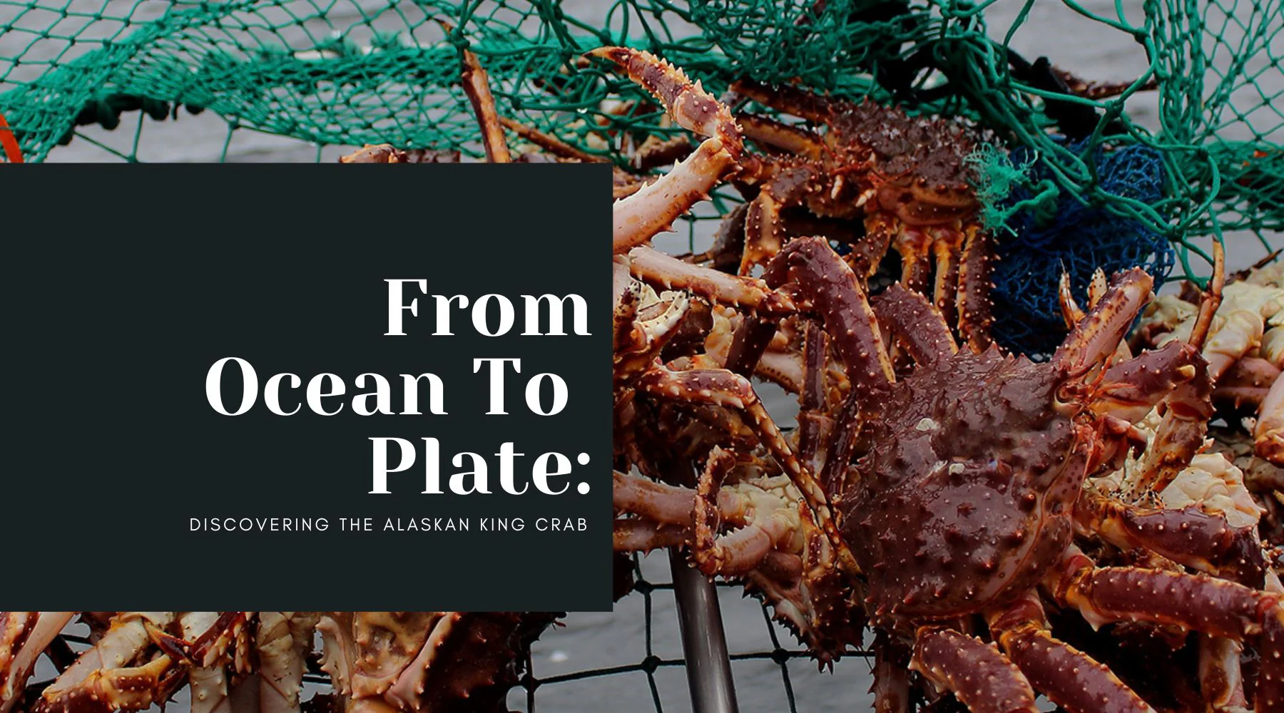 alaskan king crab season