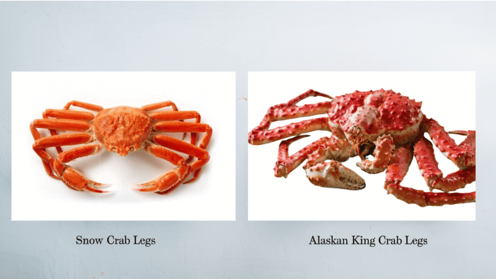 king crab vs snow crab