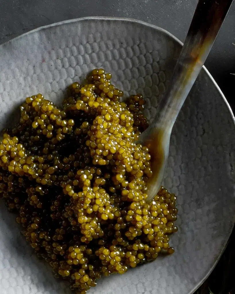 where to buy caviar