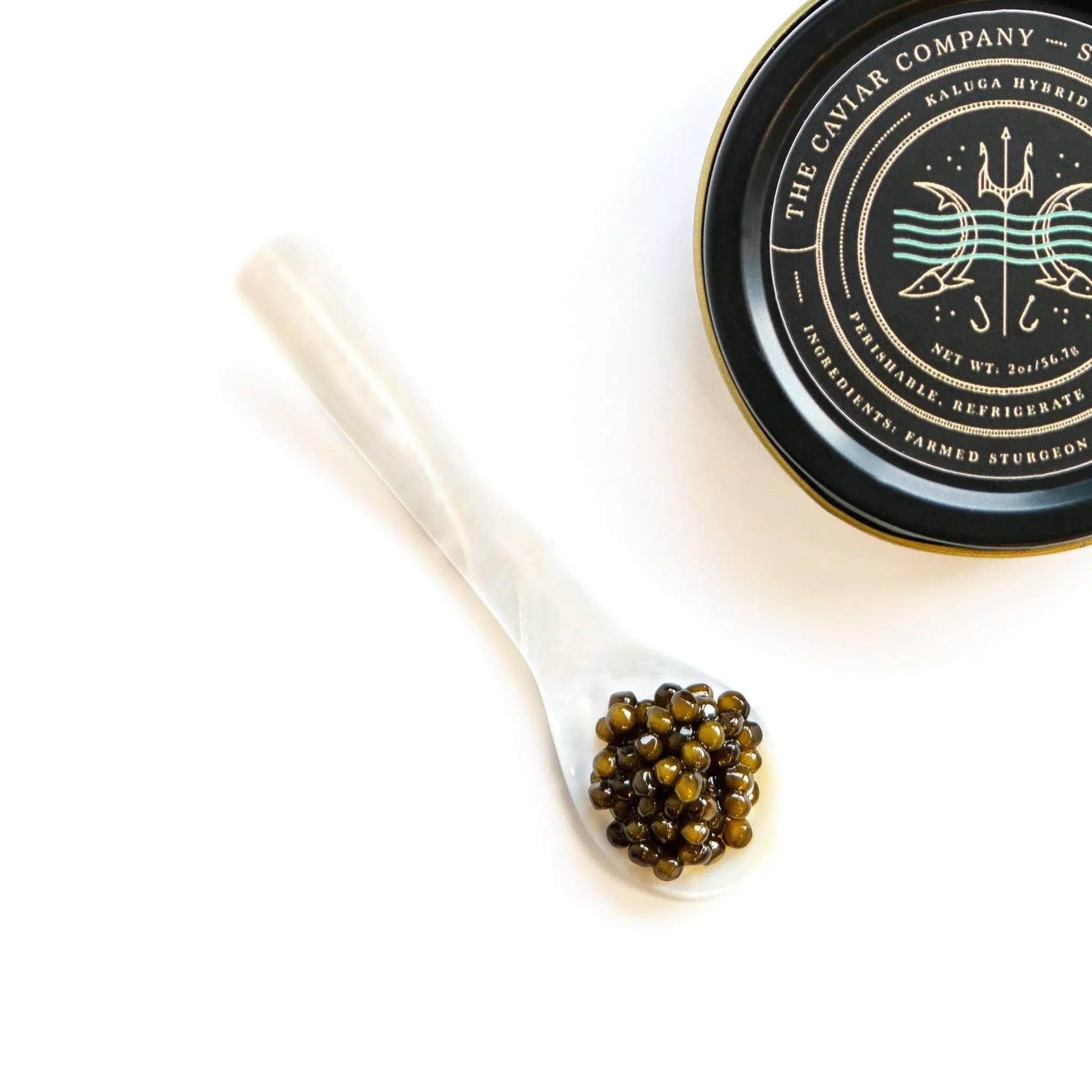kaluga caviar