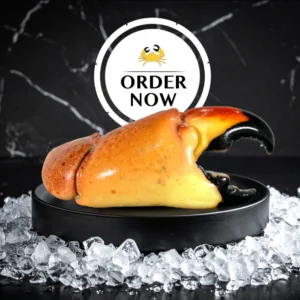 colossal stone crab