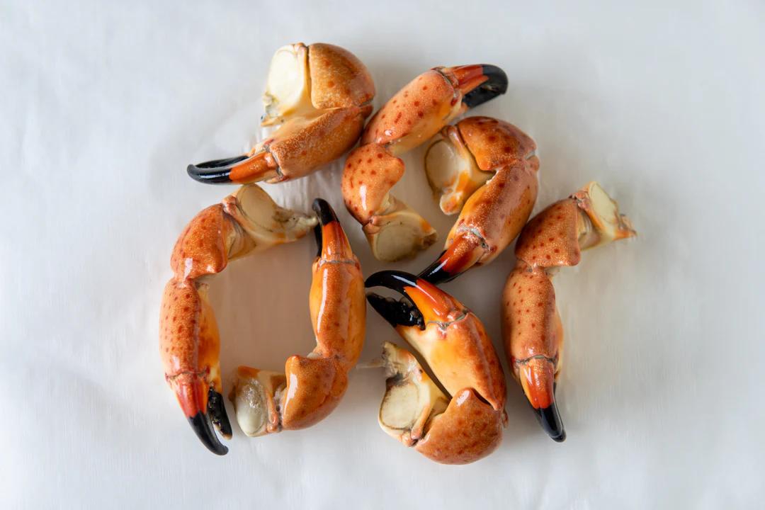 stone crab claw