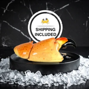 florida stone crab claws
