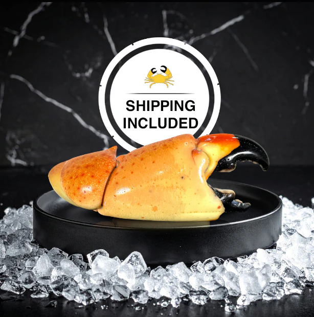 florida stone crab claws