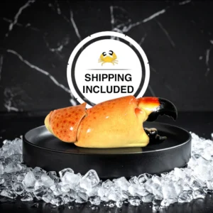 stone crab claws near me