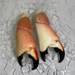 stone crabs for sale